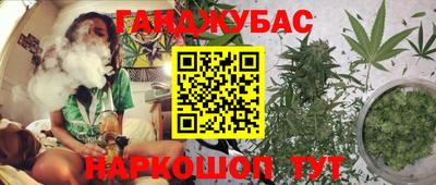 кокс Кингисепп