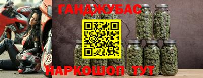 кокс Кингисепп