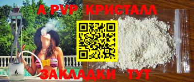 кокс Кингисепп