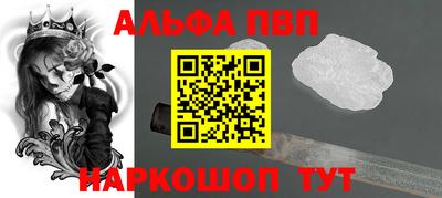 кокс Кингисепп