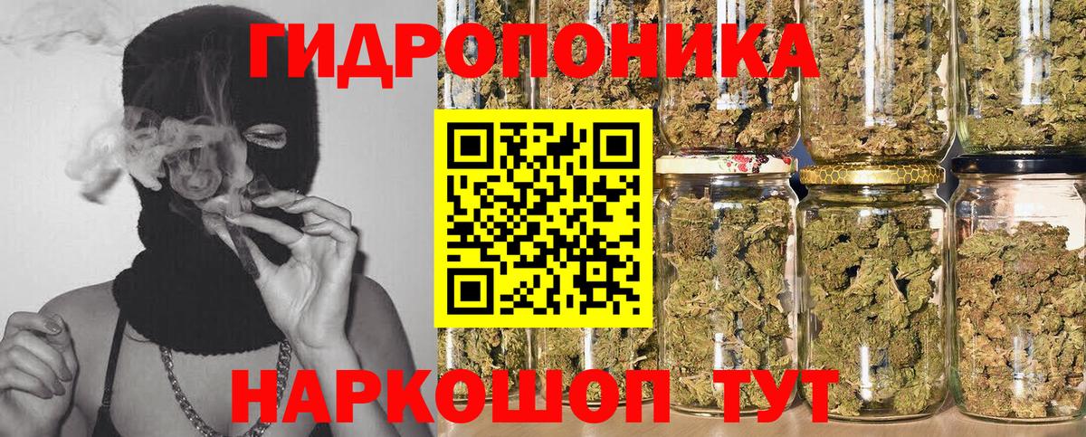 Бошки марихуана Bruce Banner  Бошки Шишки Bruce Banner  Шишки марихуана тримм  Вход с VPN  Тосно 